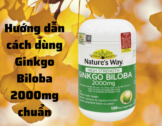 Hướng dẫn cách sử dụng Ginkgo Biloba 2000mg giúp não hoạt động trơn tru