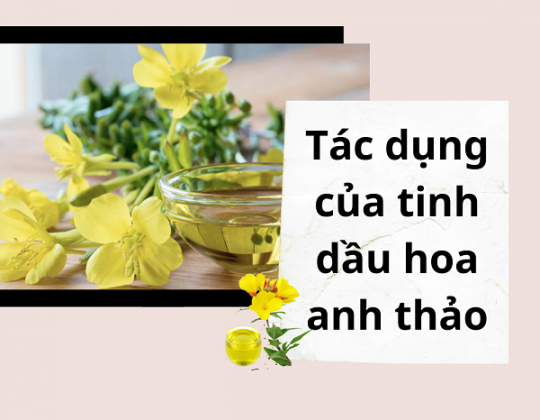 7 tác dụng của tinh dầu hoa anh thảo có thể bạn chưa biết