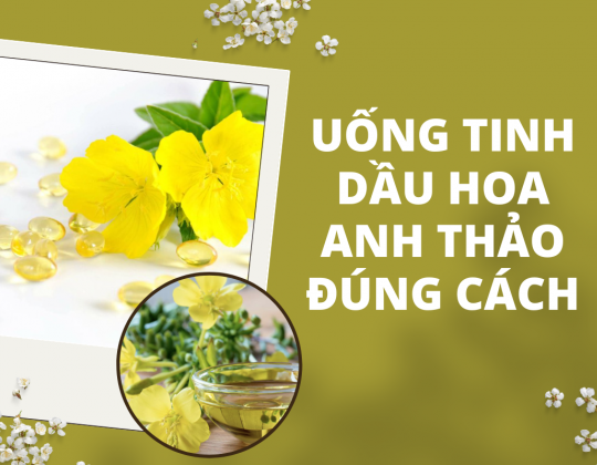 Uống tinh dầu hoa anh thảo đúng cách, bạn biết chưa?