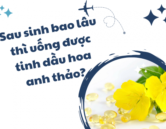 Sau sinh bao lâu thì uống được tinh dầu hoa anh thảo?