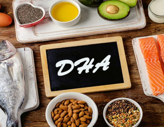 DHA có trong thực phẩm nào? 8 thực phẩm giàu DHA cho bé, mẹ chớ bỏ qua