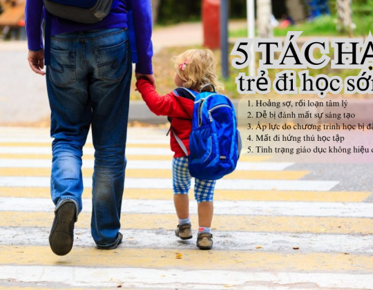 5 tác hại của việc cho trẻ đi học sớm ba mẹ nhất định phải biết