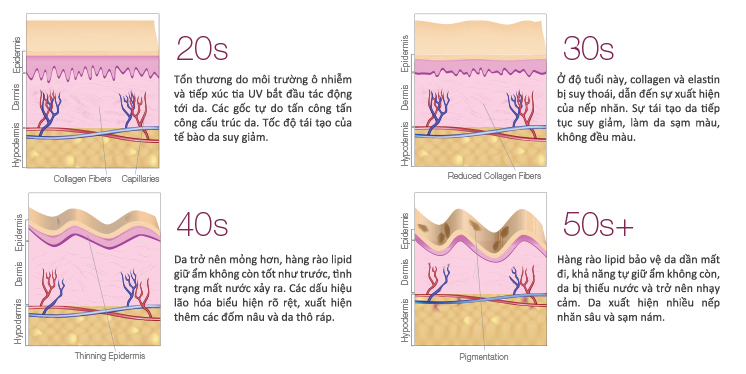 Phụ nữ bao nhiêu tuổi nên uống collagen?