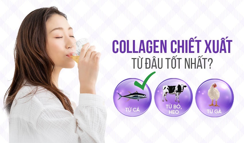 Uống collagen chiết xuất từ đâu là tốt nhất?