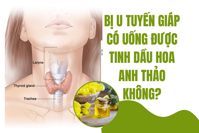 4. Lợi ích của việc sử dụng thuốc nội tiết đối với người bệnh tuyến giáp