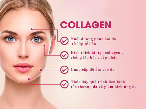 Công dụng của Collagen tươi