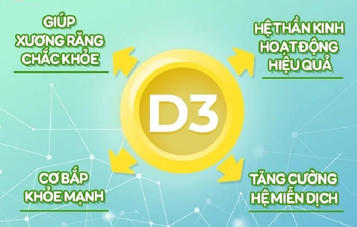 Tác dụng của vitamin D3