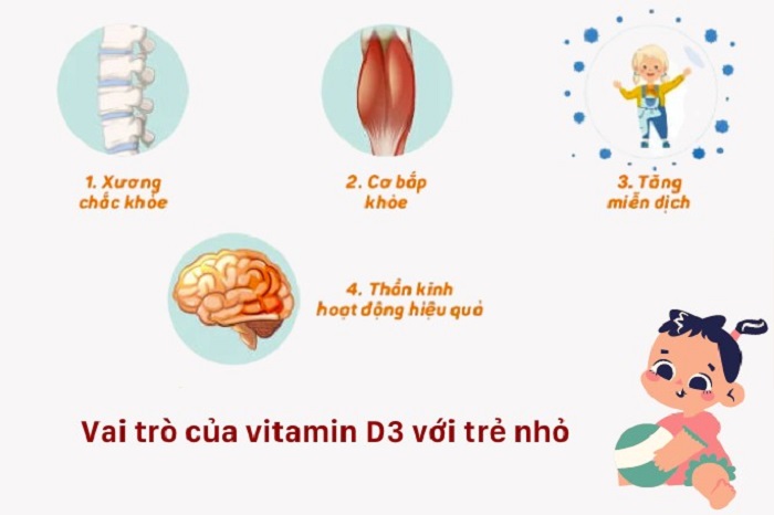 Tác dụng của vitamin D3 đối với trẻ sơ sinh