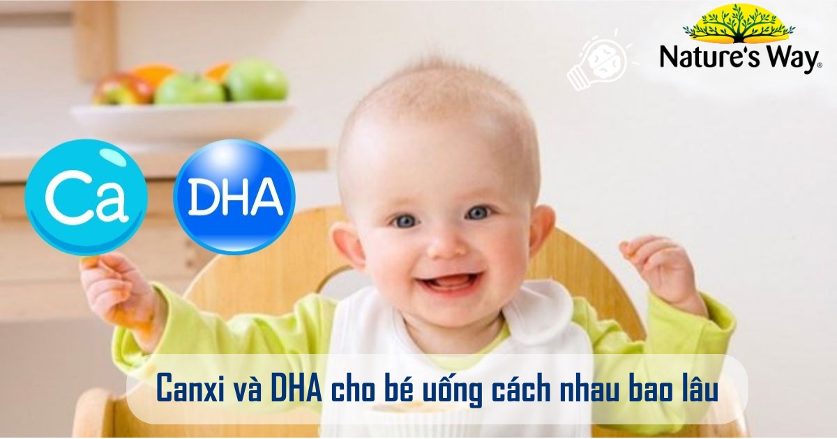 Canxi và DHA cho bé uống cách nhau bao lâu thì tốt?