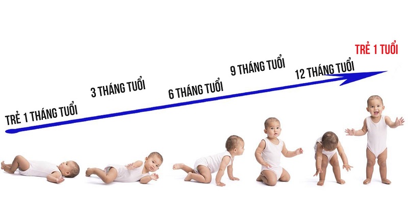 Em Bé Mấy Tháng Biết Bò? Tổng Hợp Thông Tin Chi Tiết