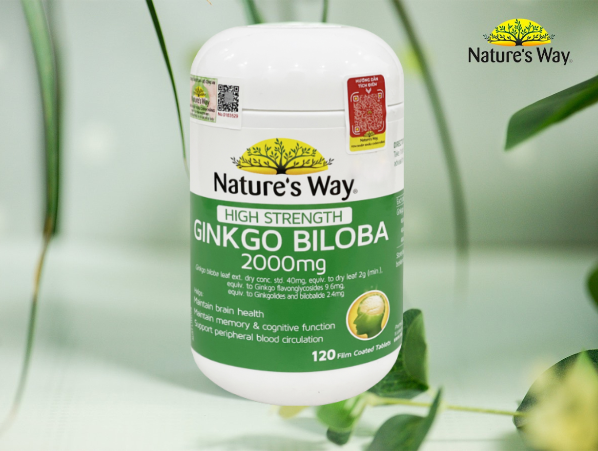 Công dụng Ginkgo Biloba 2000mg có tốt cho sức khỏe não bộ như thường nói?