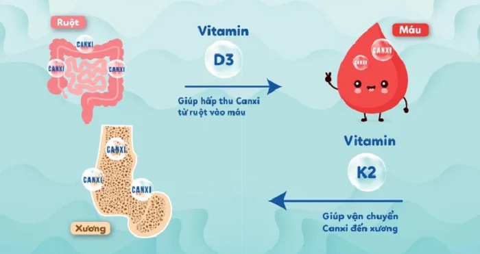 Vai trò của D3K2 đối với trẻ sơ sinh