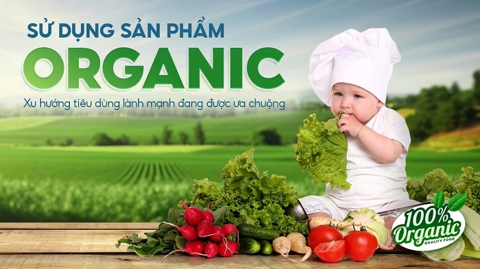 Lựa chọn sản phẩm organic cho con là xu hướng tiêu dùng hiện đại đang được nhiều ba mẹ áp dụng