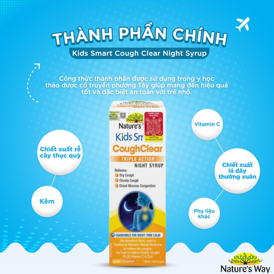 Nature's Way Kids Smart Cough Clear Triple Action Night Syrup 