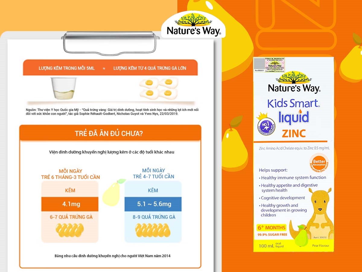 Nature’s Way Kids Smart Liquid ZinC – Bổ sung kẽm cho cơ thể