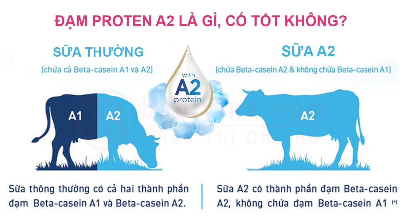 Nguyên nhân trẻ không hợp sữa công thức là do đâu?