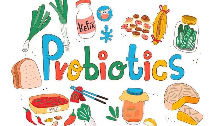  Probiotic có tác dụng gì?