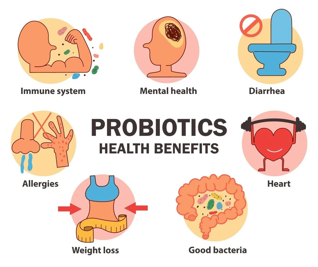 Tác dụng của lợi khuẩn probiotic