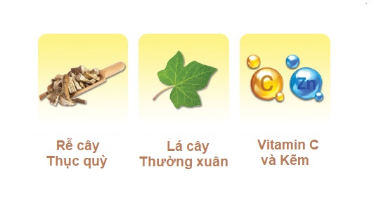 Thành phần của Nature’s Way Kids Smart Cough Clear Triple Action Syrup
