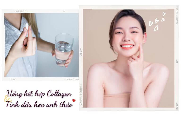 Uống Collagen và Hoa Anh Thảo Cùng Lúc Được Không? Lợi Ích Và Cách Dùng Hiệu Quả