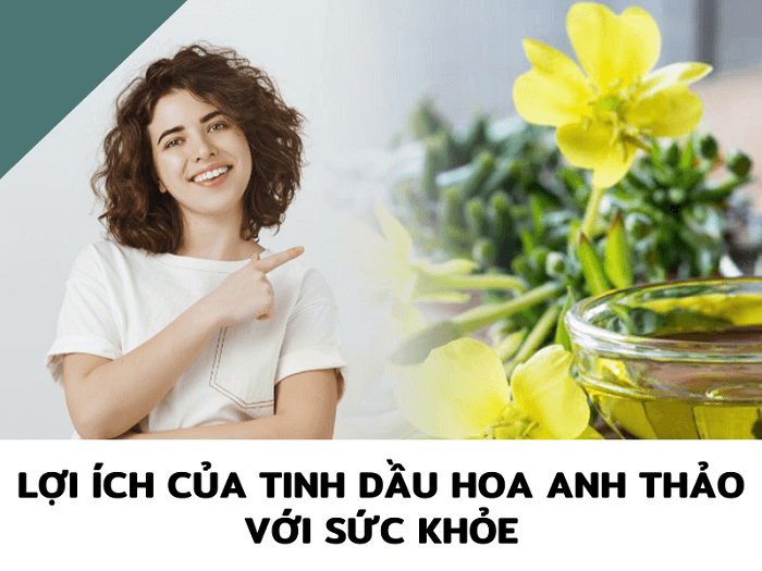 Tác dụng của tinh dầu hoa anh thảo