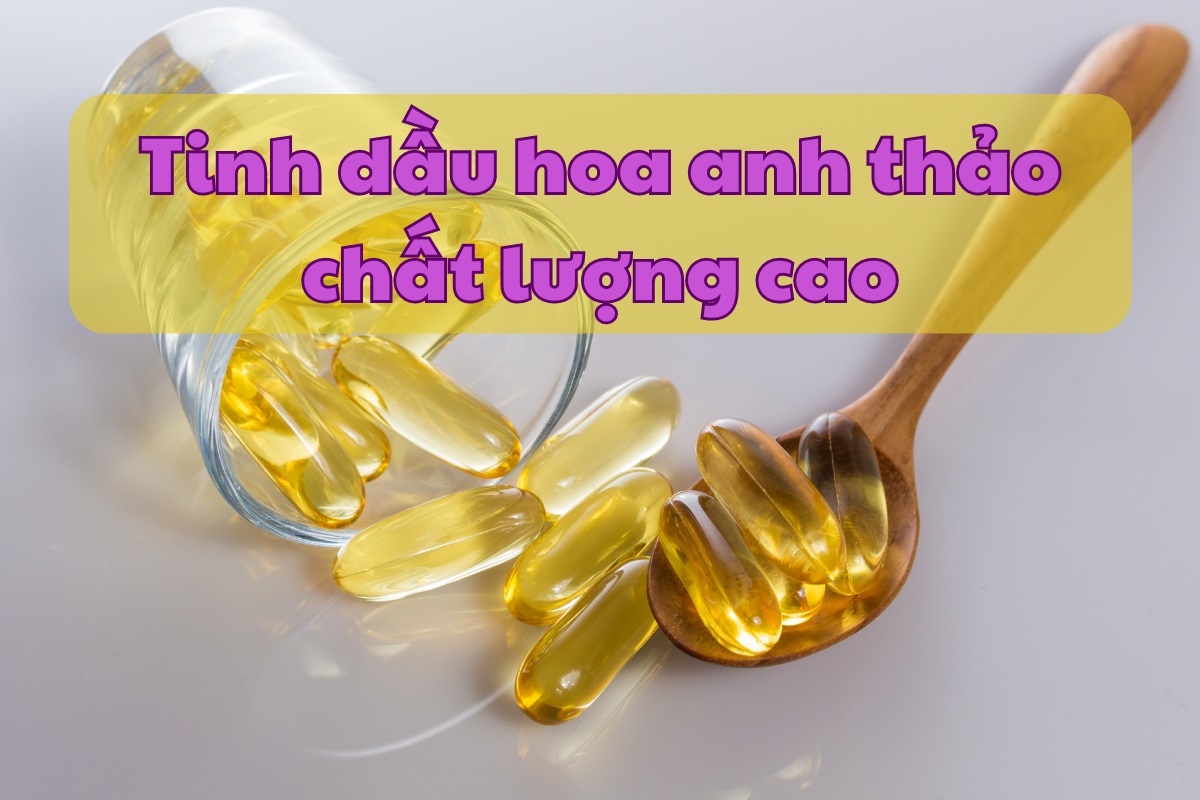 Uống tinh dầu hoa anh thảo tăng khả năng thụ thai