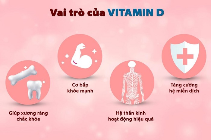 Vai trò của vitamin D3